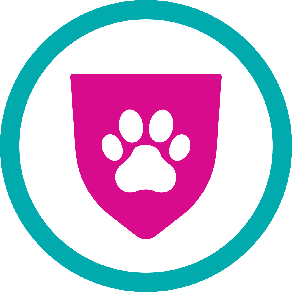 Pet Safety