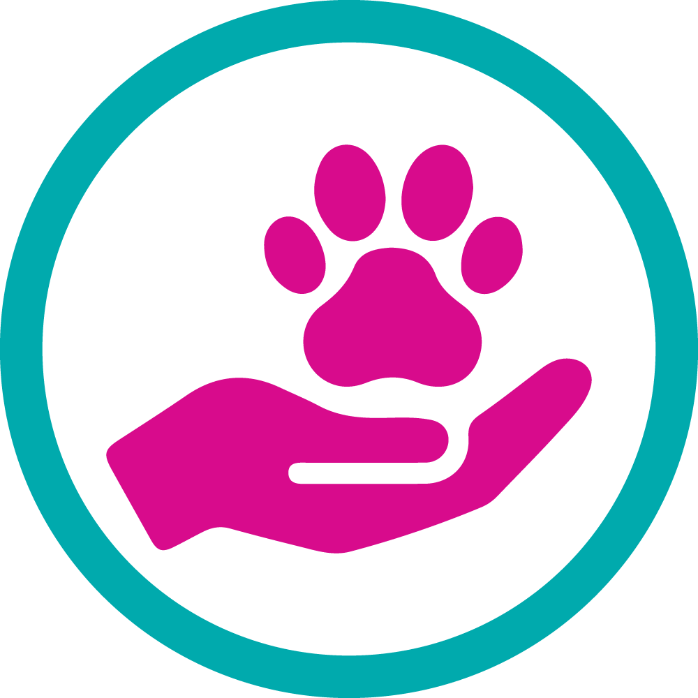 Responsible Pet Ownership